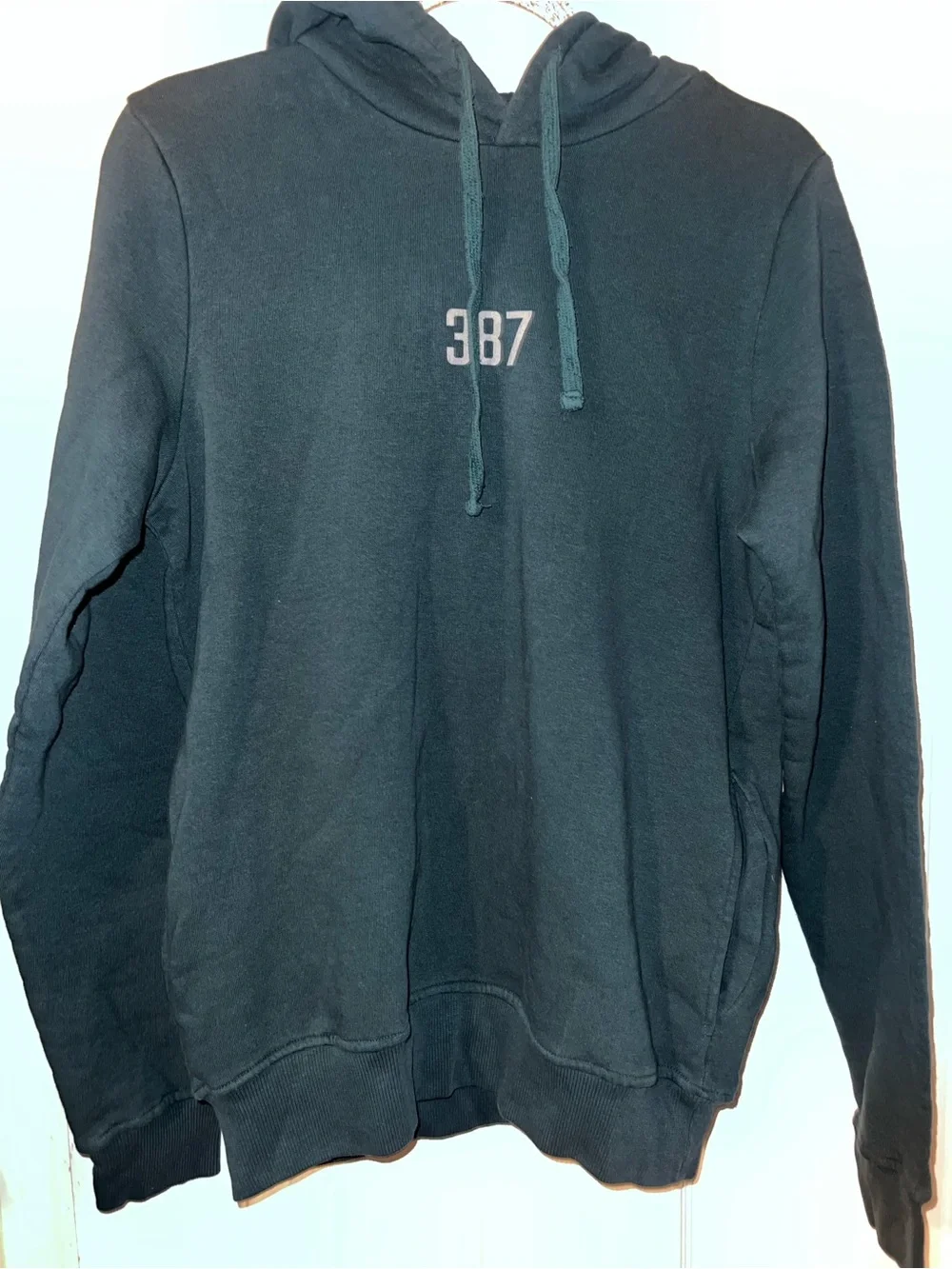 Pokemon 387 turtwig men’s hoodie size small